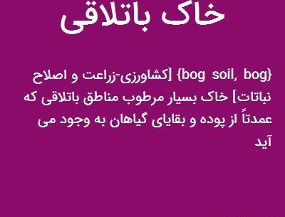 عکس سنگ باتلاق
