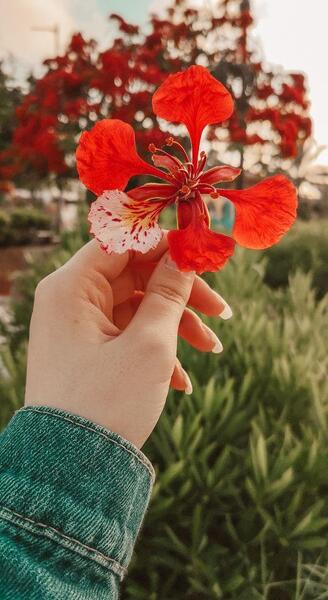 عکس بهاری دخترانه