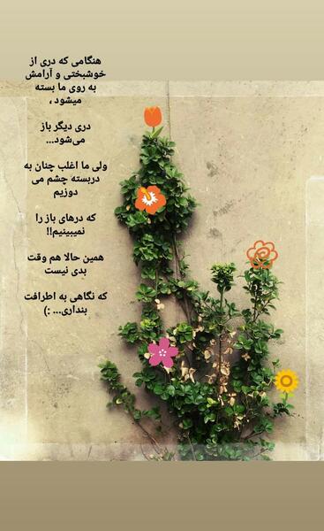 دانلود عکس صبح بخیر چهارشنبه