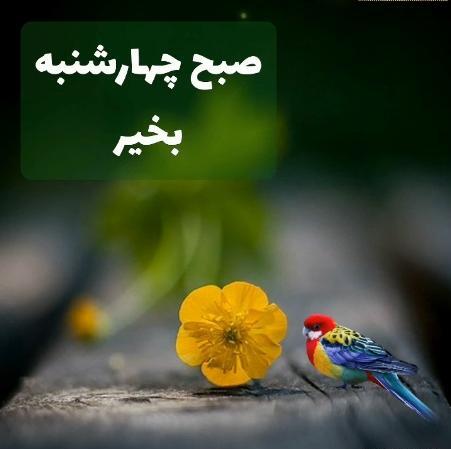 دانلود عکس صبح بخیر چهارشنبه