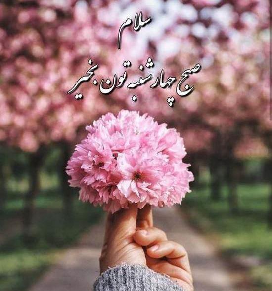 دانلود عکس صبح بخیر چهارشنبه