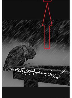 عکس استوری اینستاگرام