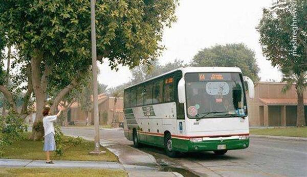 عکس شهر طائف عربستان