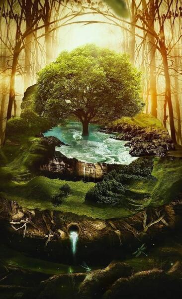 عکس زیبای طبیعت هنری