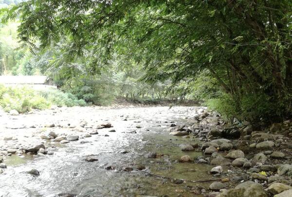 عکس تصاویر زیبای طبیعت عاشقانه