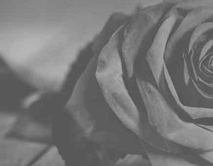 اهنگ مهراب عکس یادگاری