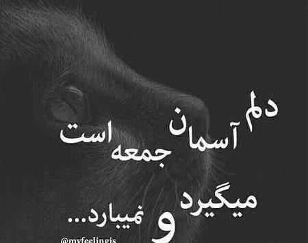 عکس نوشته جمعه است