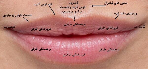 عکس لب اردکی