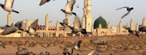 عکس جدید قبرستان بقیع