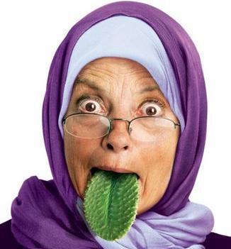 عکس مادر شوهر بد