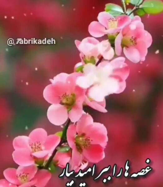 عکس شاد بهاری