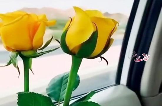 عکس وضعیت واتساپ حرف ناب