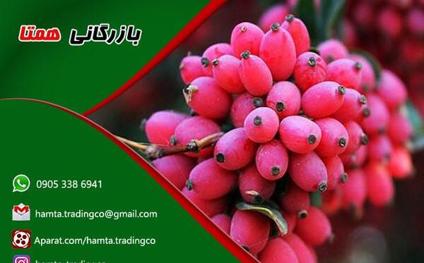 عکس زرشک قاین
