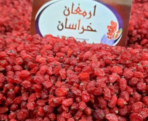 عکس زرشک قاین
