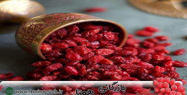 عکس زرشک قاین