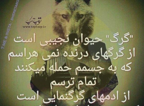 عکس سگ صفت