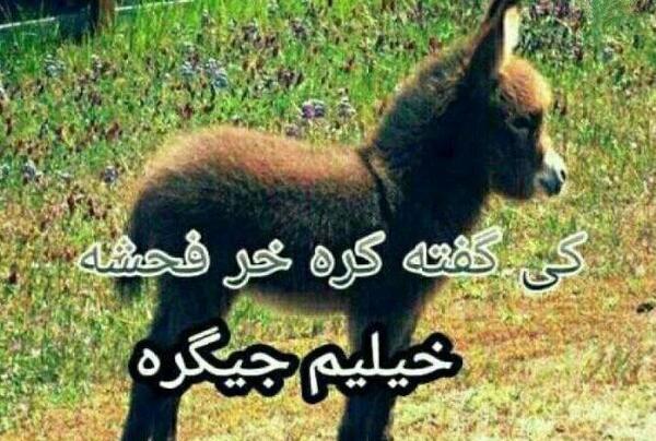 عکس خاک تو سرت روزگار