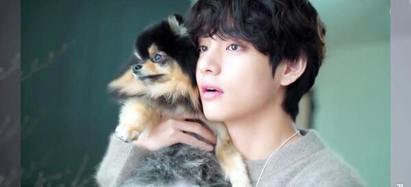 عکس سگوی یونتان