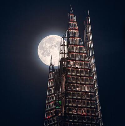 بهترین عکس سال ۲۰۲۰