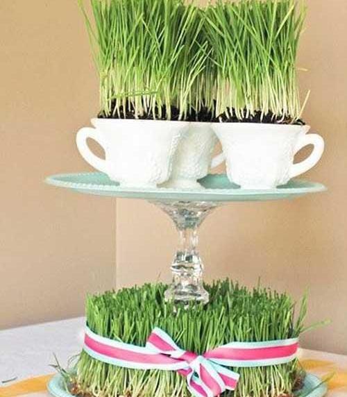 عکس کاشت ساده
