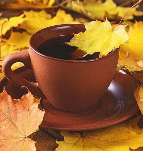 عکس زمینه گوشی گربه