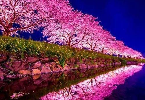 دانلود عکس طبیعت برای پروفایل واتساپ
