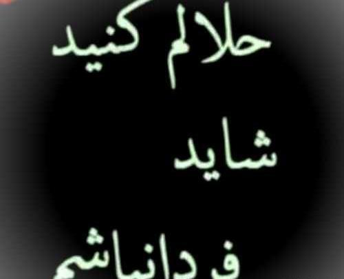 عکس رفیق حلالم کن