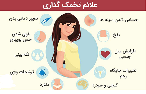 عکس ترشحات تخمک گذاری نی نی سایت