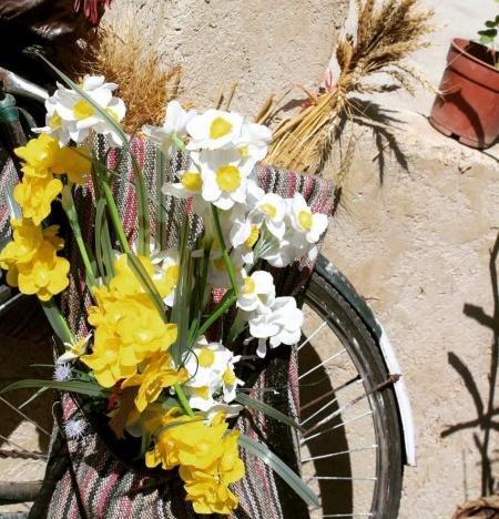 عکس قران با گل نرگس