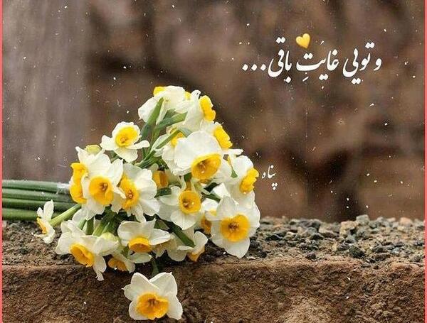 عکس قران با گل نرگس