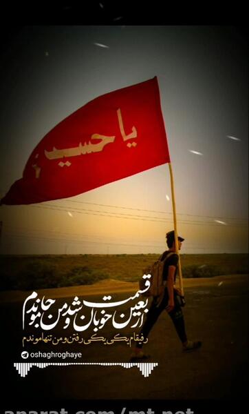 عکس استوری اربعین حسینی