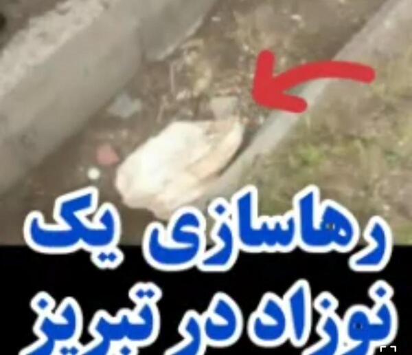 عکس نوزاد رها شده در تبریز