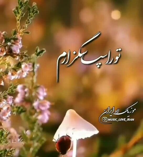 عکس استوری های زیبا