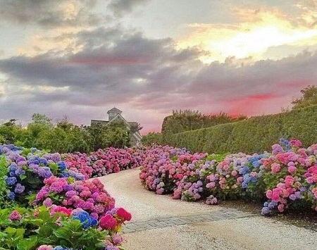 عکس طبیعت حیوان