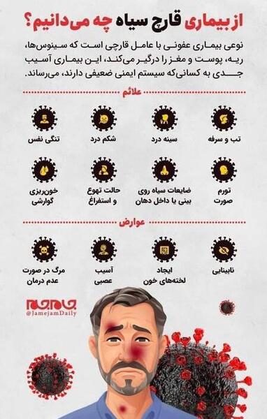 عکس لامبورگینی گالاردو 2013