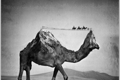 عکس سیاه سفید زیبا هنری