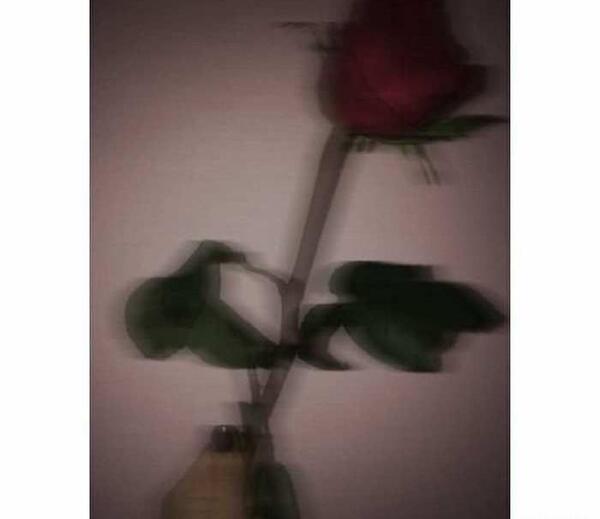عکس غمگین دختر و گل