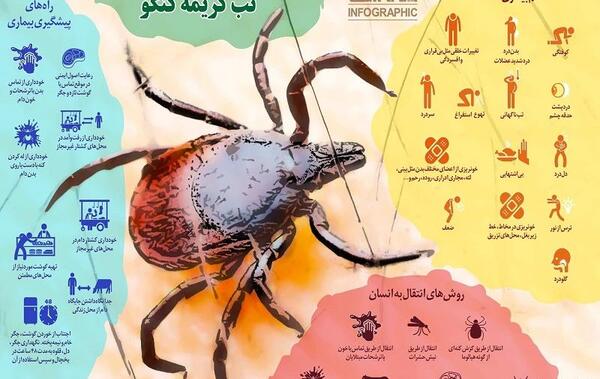 عکس کنه هیالوما