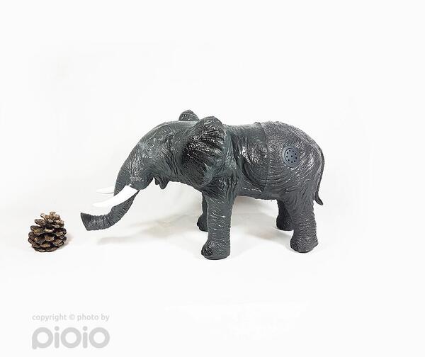 عکس فیل پلاستیکی