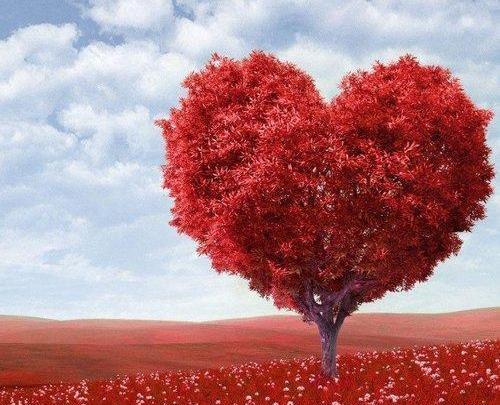 عکس پروفایل عاشقانه بدون متن مفهومی