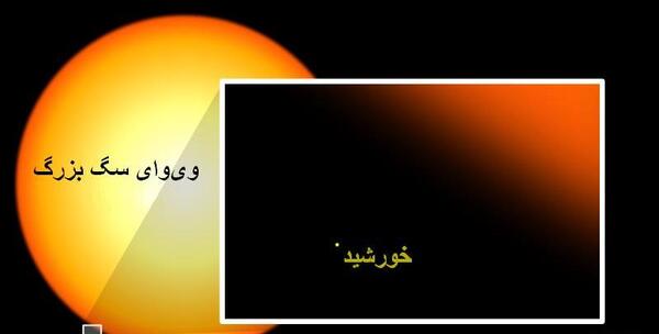 عکس ستاره وی وای سگ بزرگ