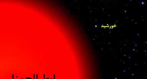 عکس ستاره وی وای سگ بزرگ