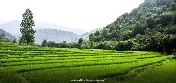 عکس جاهای دیدنی فریدونکنار