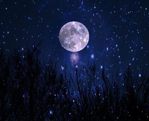 عکس پروفایل ستاره