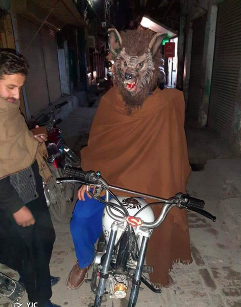 عکس گرگ آدمی