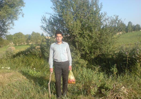 عکس شهر ثمرین