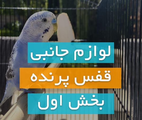 عکس طوطی داخل قفس