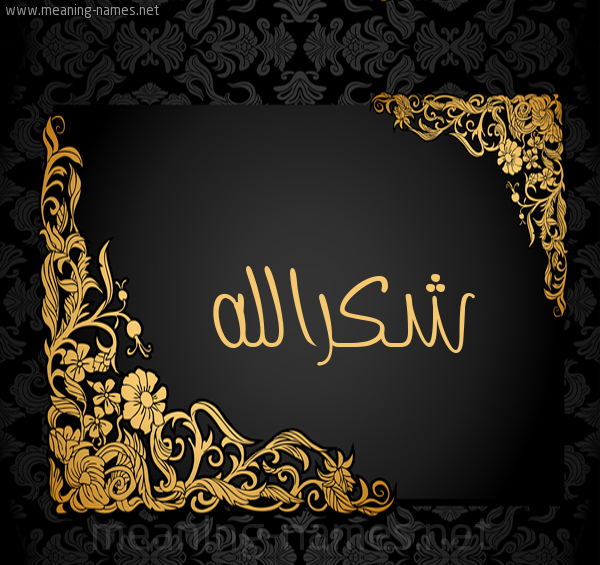 عکس شکرالله