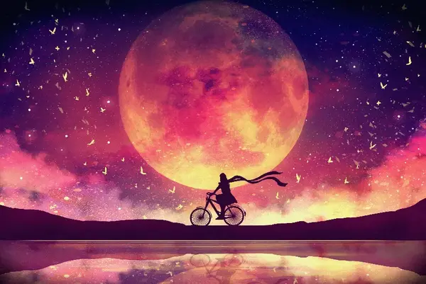 عکس های کیوت شب
