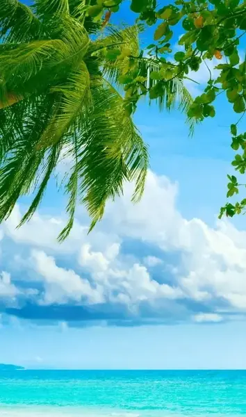 عکس دریا پس زمینه ایفون
